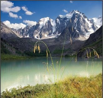 Белокурихинские термальные источники