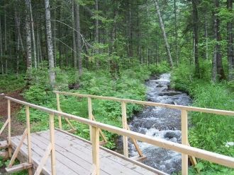 Показания к лечению на Тумнинских минера