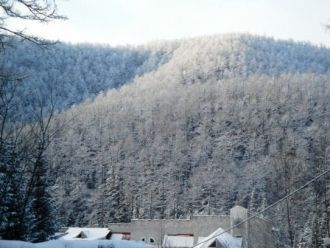 Неоднократные экспедиционные исследовани