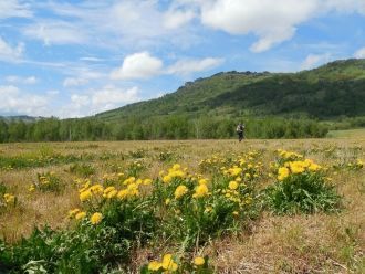 Бобырган - это ворота в Горный Алтай