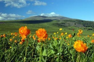 Годовое количество осадков в районе 600–