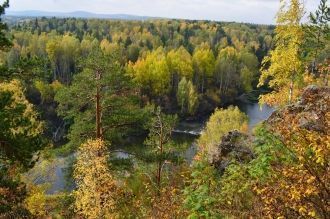 Многие растения сохранились в этом месте