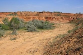 Тела яшмы залегают как в коре выветриван