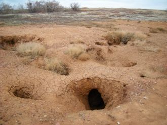 Согласно данным геологических исследован