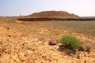 Гора Полковник