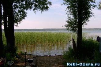 На дне озера бьют родники.