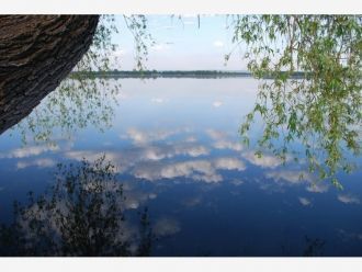 В озере водятся лещи, сазаны, караси и д