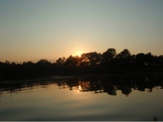 Вокруг озера гнездятся утки, в окрестных