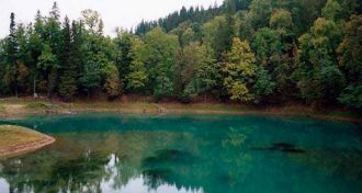 По расходу воды его немного опережает то