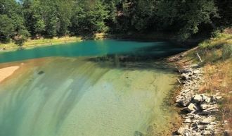 Несмотря на обилие растворенной извести,