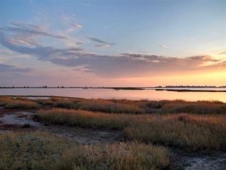 С каждым годом все большую популярность 