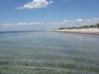 Ихтиофауна включает кефалевые, осетровые