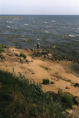 Донные отложения Псковско-Чудского озера