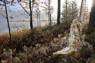 Вскрывается озеро в середине мая, а заме