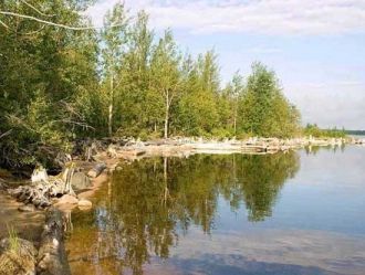 Вода Выгозера отличается большим содержа