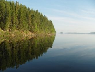 По всей территории озера разбросано нема