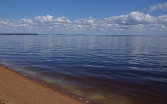У берегов есть заросли тростника, камыша
