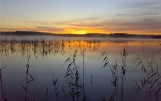 Вокруг озера десятки археологических рас