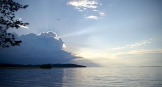 Озеро богато рыбой. Всего в водоеме прис