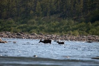 В него впадает пять рек и вытекает одна 