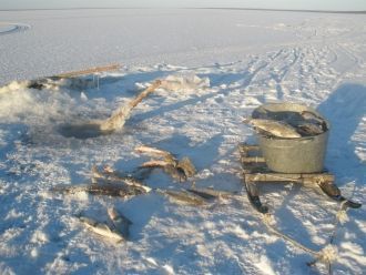 Берега озера большей частью пологие, они