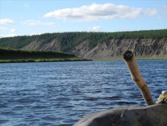 Животный мир разнообразен - воды озера и