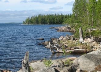 В Мурманской области, на севере Карелии,