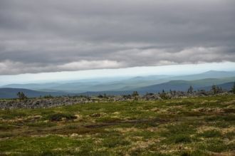 В лесах изобилие грибов, ягод, а в урожа