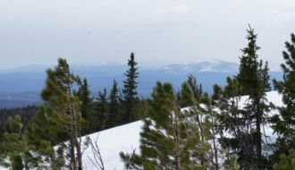 Нижние склоны горы покрыты густым лесом.