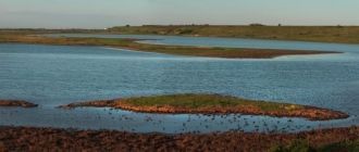 Тилигульский регионального типа ландшафт