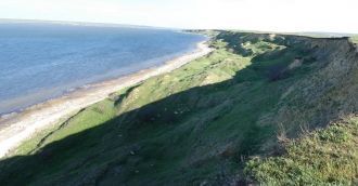 Прибрежные территории лимана богаты на с