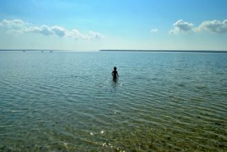 Широко известны также парадромы и дельта