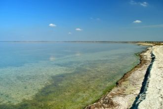 Тилигульский лиман