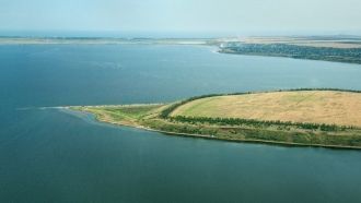 Тилигульский солоноводный лиман (укр. «Т