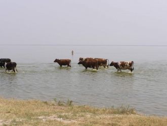 В середине прошлого тысячелетия на месте