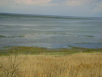 Местность, на которой расположился Молоч