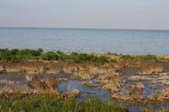 В народе Молочный лиман прозвали родильн