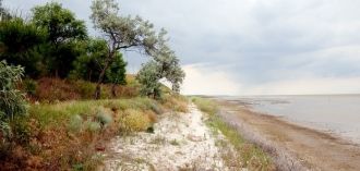 В 1974 году Молочный лиман стал заказник