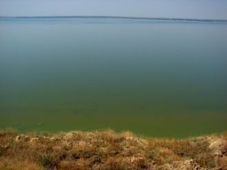 Озеро Ялпуг отделено дамбой от озера Куг