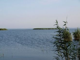 Значительная часть прибрежной зоны Ялпуг