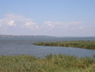 Озеро богато на рыбу и раков. В Ялпуге в