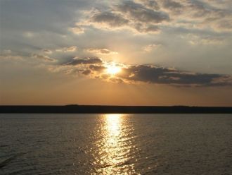 Благодаря такой флоре в озере развиваетс