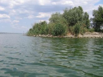 Богата флора и фауна Кагула. Многообрази