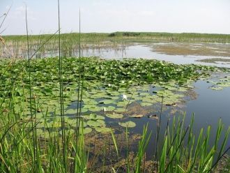 Географические координаты водоема таковы