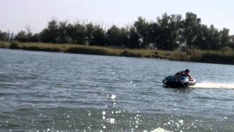 На берегах гнездятся всевозможные птицы,