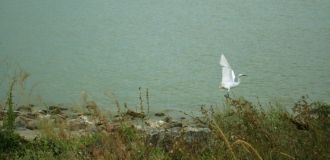 Вершину водоема, куда впадала в свое вре