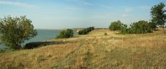 Алибей может похвастать редким представи