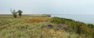 Лиман имеет два действующих водосбора, к