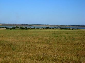 В водоеме черви, малюски, ракообразные п