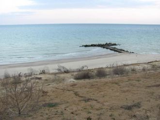 Группу назвали Тузловская, так как все в